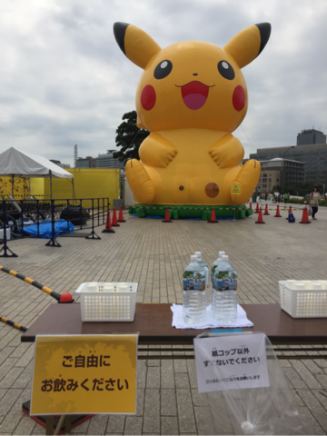 ピカチュウとダンデ　争奪戦　世界に300枚　インドネシア　プロモ美品 ピカチュウとダンデ 争奪戦 世界に300枚 インドネシア プロモ美