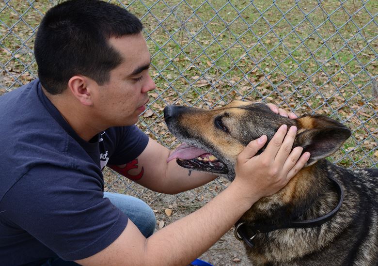 f:id:Thepetbook:20190703185042j:plain f:id:Thepetbook:20190703185042j:plain