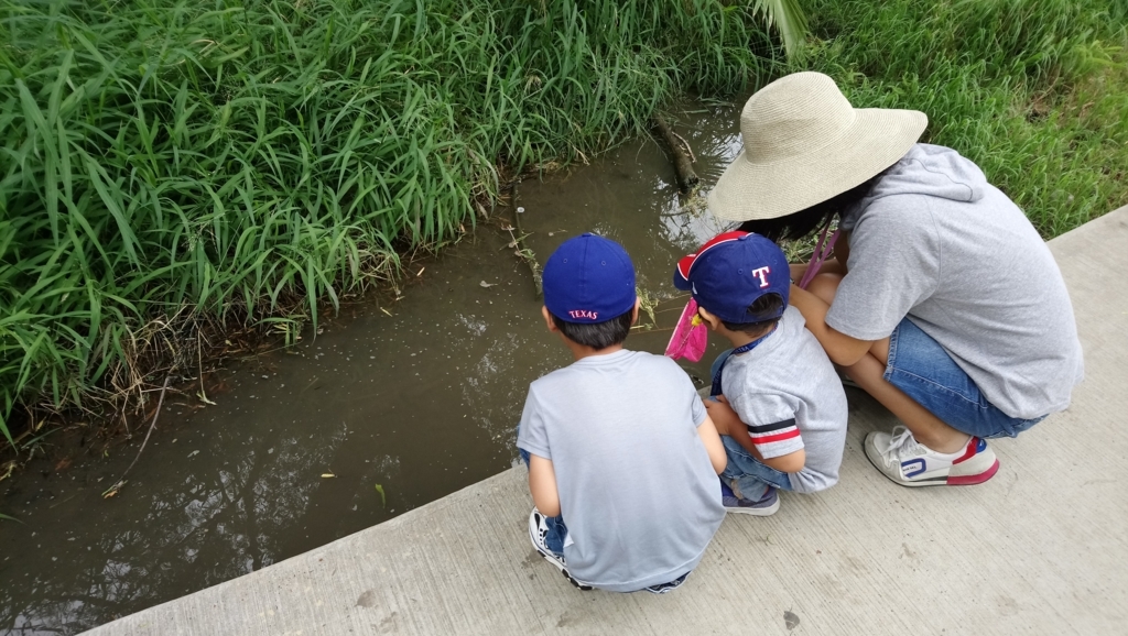 f:id:ThomasTX:20180807115300j:plain f:id:ThomasTX:20180807115300j:plain