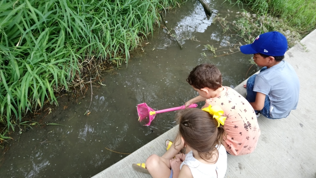 f:id:ThomasTX:20180807115359j:plain f:id:ThomasTX:20180807115359j:plain