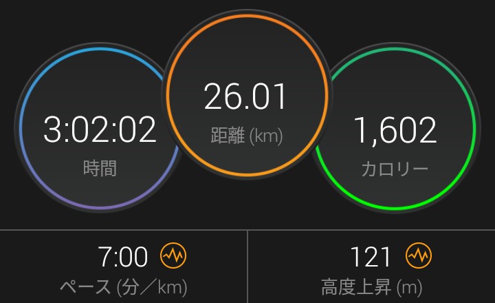f:id:ThomasTX:20190415024520j:plain f:id:ThomasTX:20190415024520j:plain