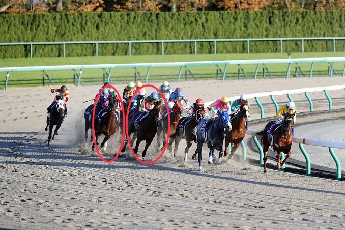f:id:Thoroughbred:20200803183630j:plain f:id:Thoroughbred:20200803183630j:plain