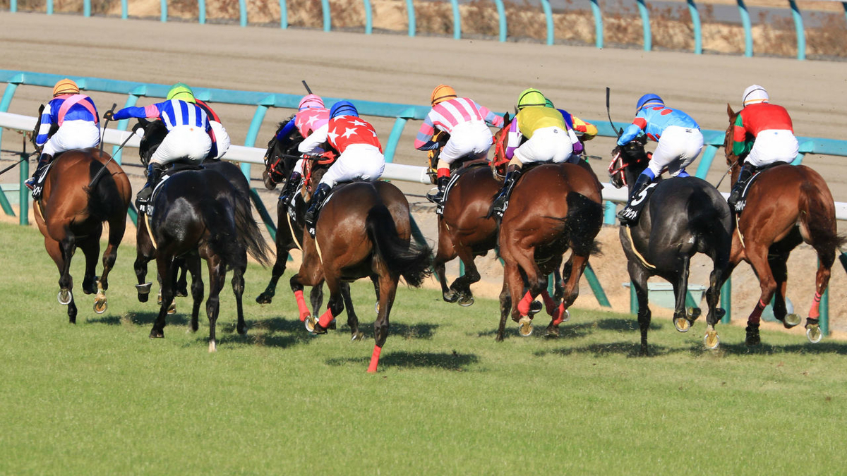 f:id:Thoroughbred:20200804235839j:plain f:id:Thoroughbred:20200804235839j:plain