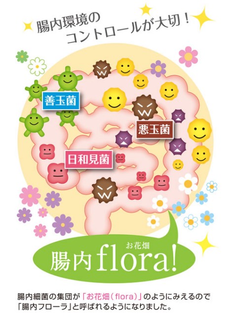 f:id:ThounaiKankyou:20200414013916j:image