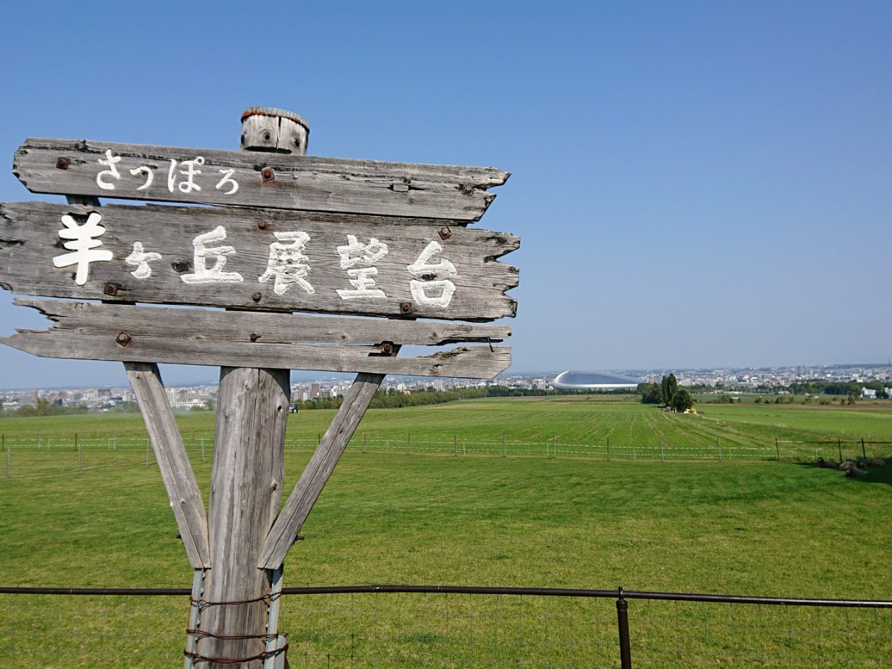 f:id:Three_Traveling_Cats:20191001144044j:image