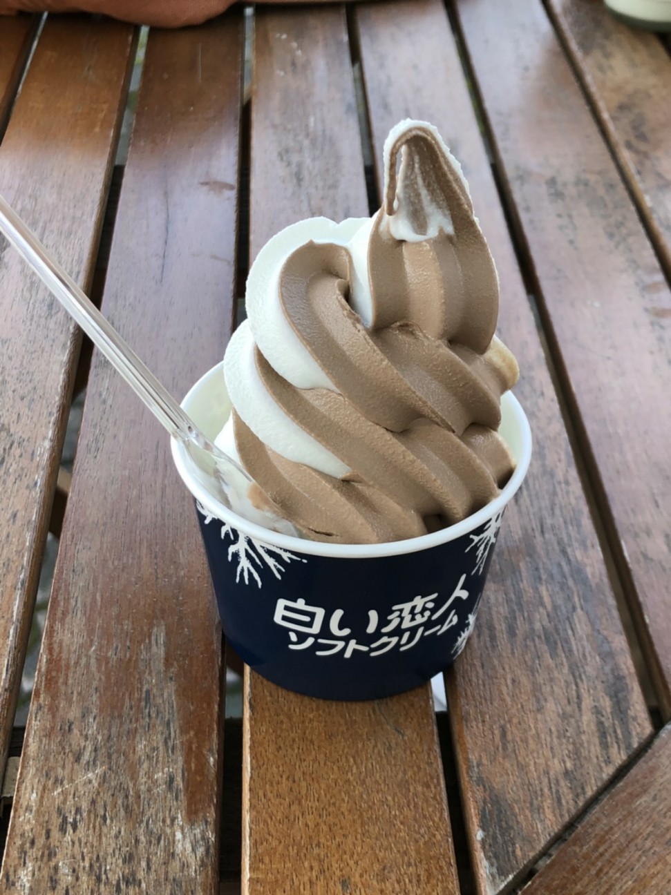 f:id:Three_Traveling_Cats:20191001213937j:image