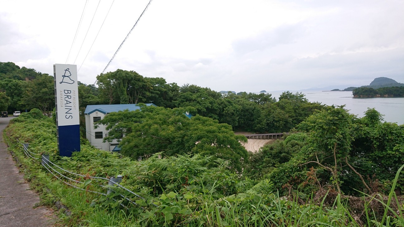 f:id:Three_Traveling_Cats:20210703180200j:image