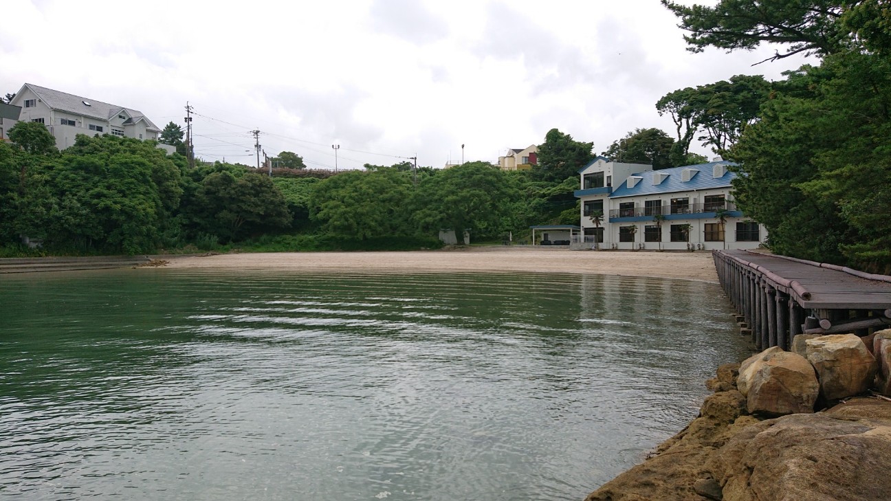 f:id:Three_Traveling_Cats:20210703180453j:image