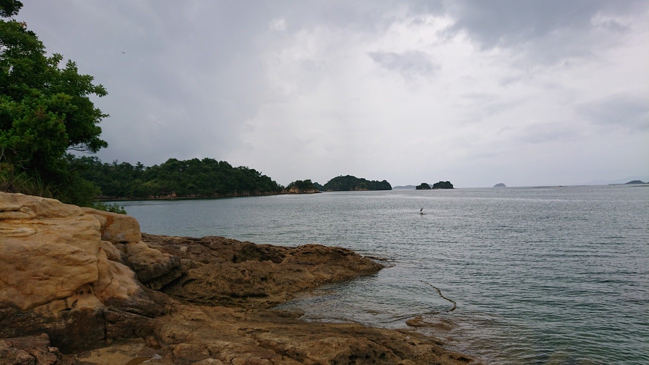 f:id:Three_Traveling_Cats:20210703180618j:image