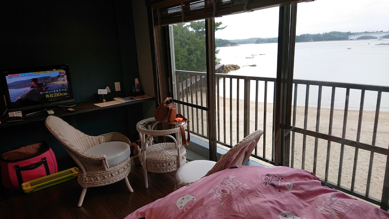 f:id:Three_Traveling_Cats:20210703180652j:image