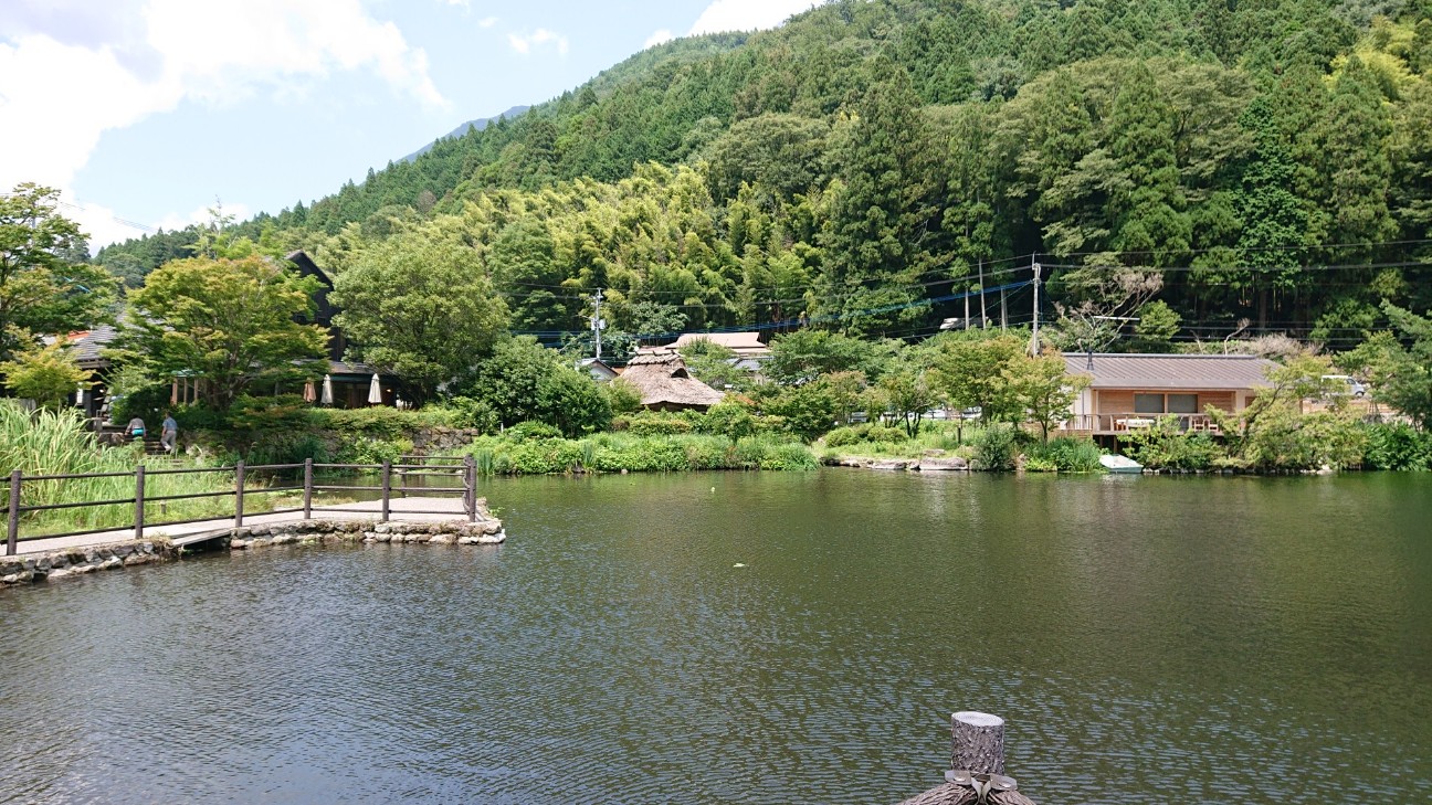 f:id:Three_Traveling_Cats:20210715173850j:image f:id:Three_Traveling_Cats:20210715173850j:image