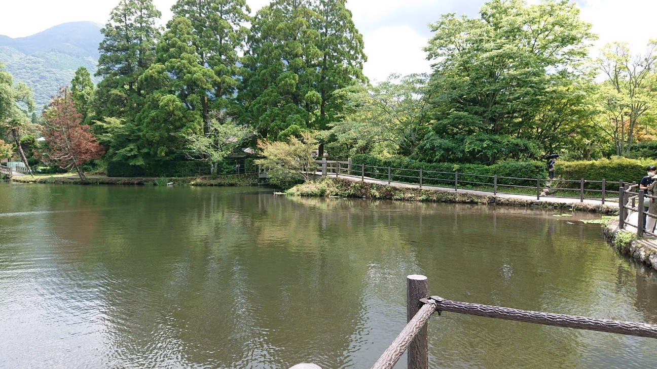 f:id:Three_Traveling_Cats:20210715173913j:image f:id:Three_Traveling_Cats:20210715173913j:image