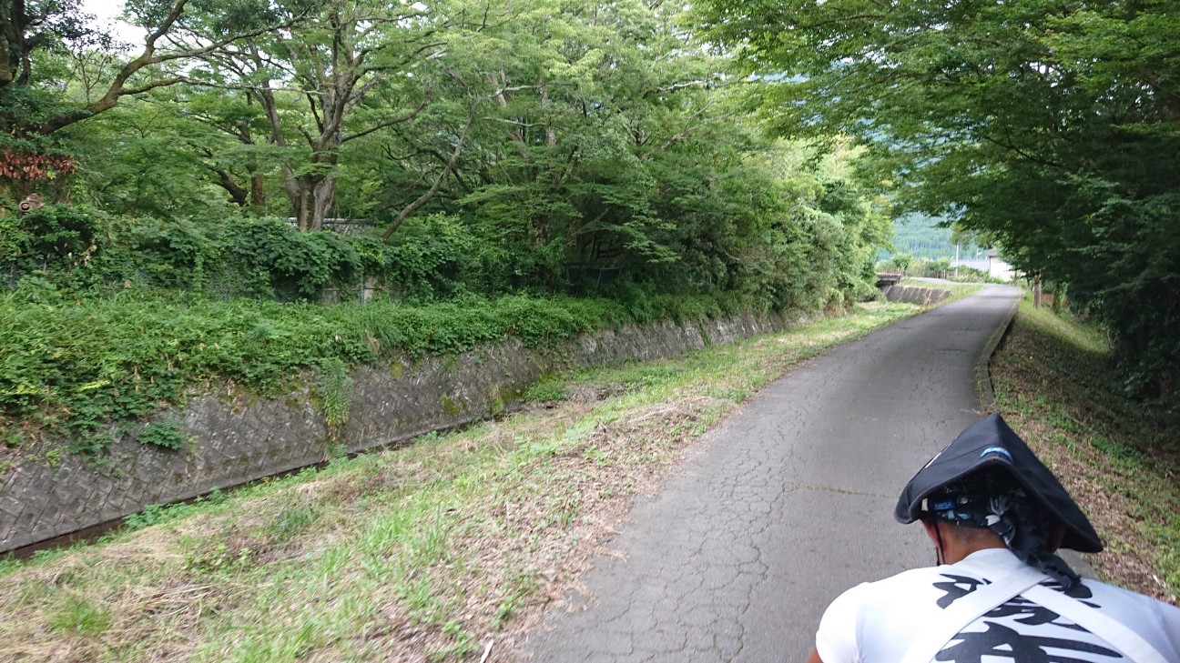 f:id:Three_Traveling_Cats:20210715175521j:image f:id:Three_Traveling_Cats:20210715175521j:image