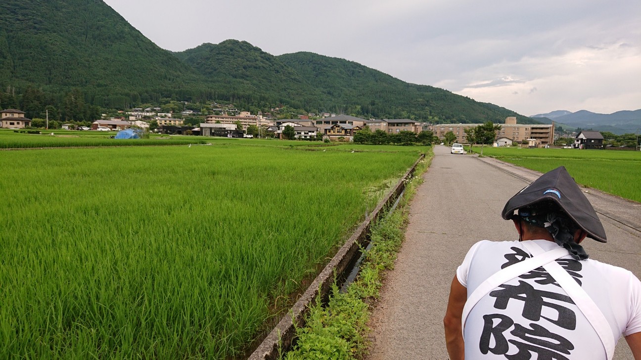 f:id:Three_Traveling_Cats:20210715175542j:image f:id:Three_Traveling_Cats:20210715175542j:image