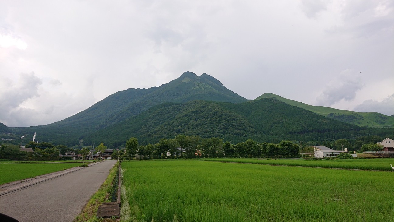 f:id:Three_Traveling_Cats:20210715180708j:image f:id:Three_Traveling_Cats:20210715180708j:image