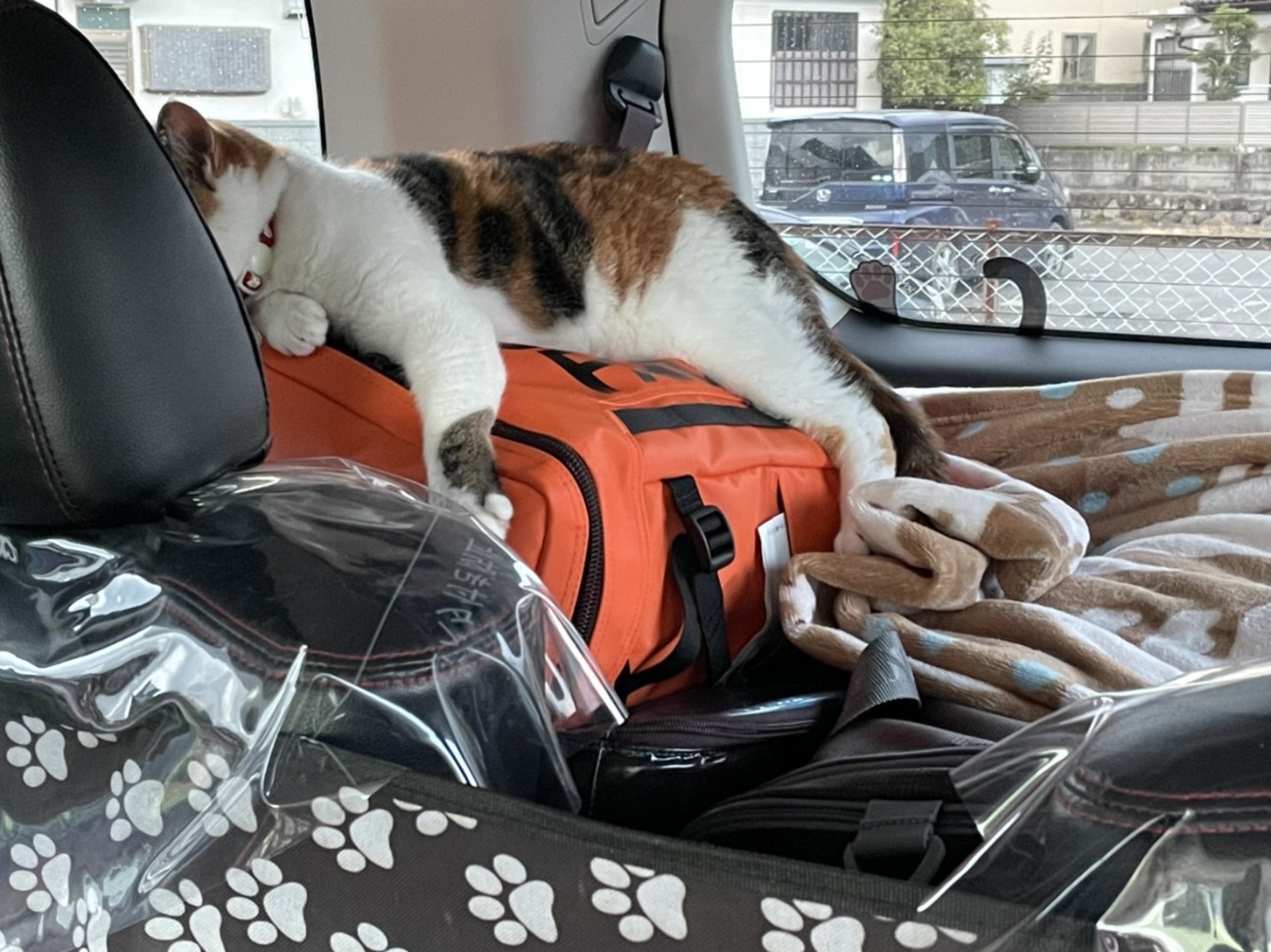 f:id:Three_Traveling_Cats:20210715205810j:image f:id:Three_Traveling_Cats:20210715205810j:image