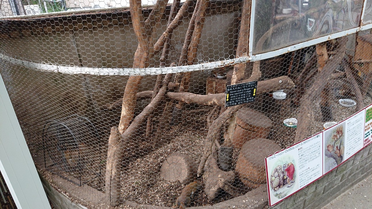 f:id:Three_Traveling_Cats:20210715210804j:image f:id:Three_Traveling_Cats:20210715210804j:image