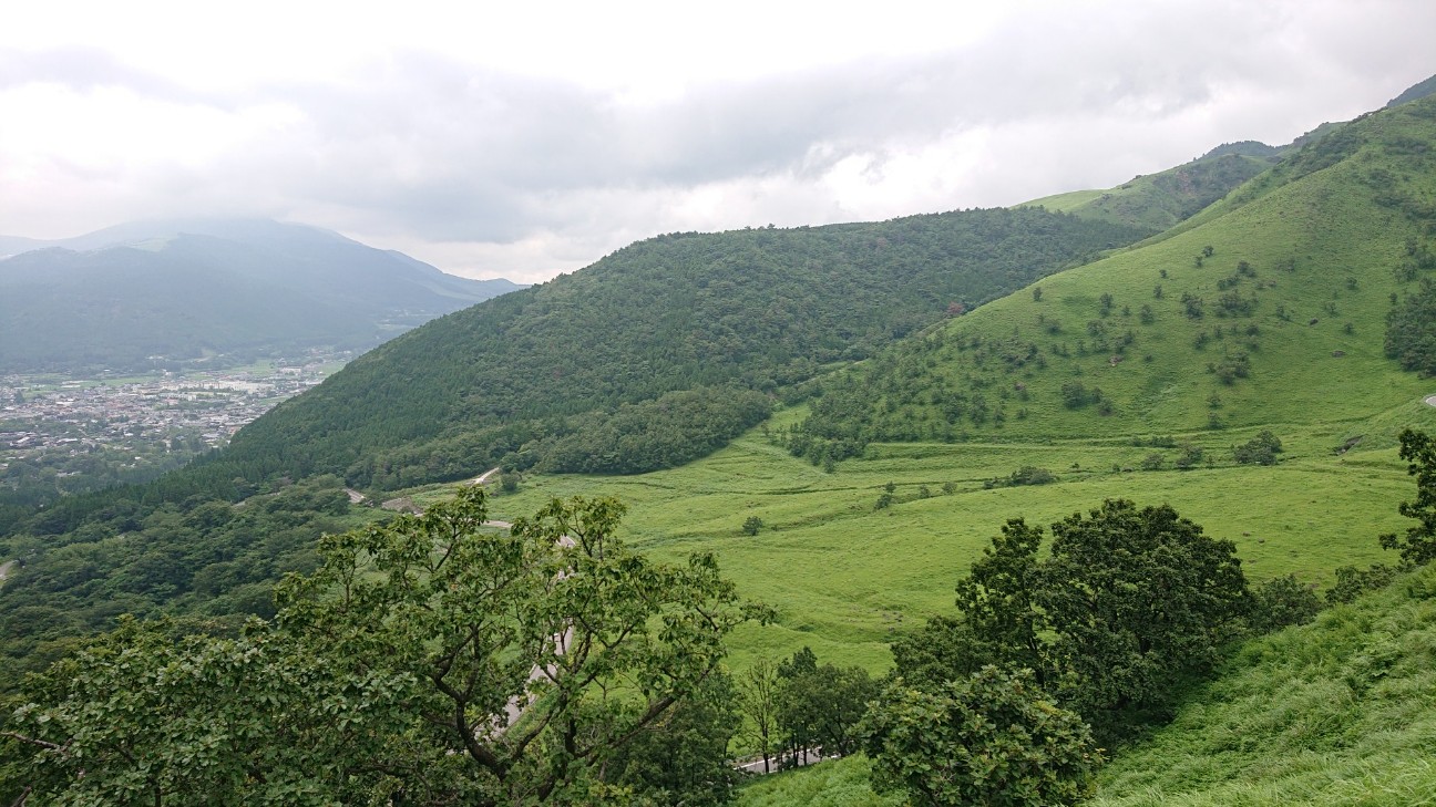 f:id:Three_Traveling_Cats:20210717074655j:image f:id:Three_Traveling_Cats:20210717074655j:image