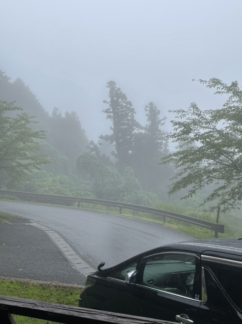 f:id:Three_Traveling_Cats:20210718221442j:image f:id:Three_Traveling_Cats:20210718221442j:image