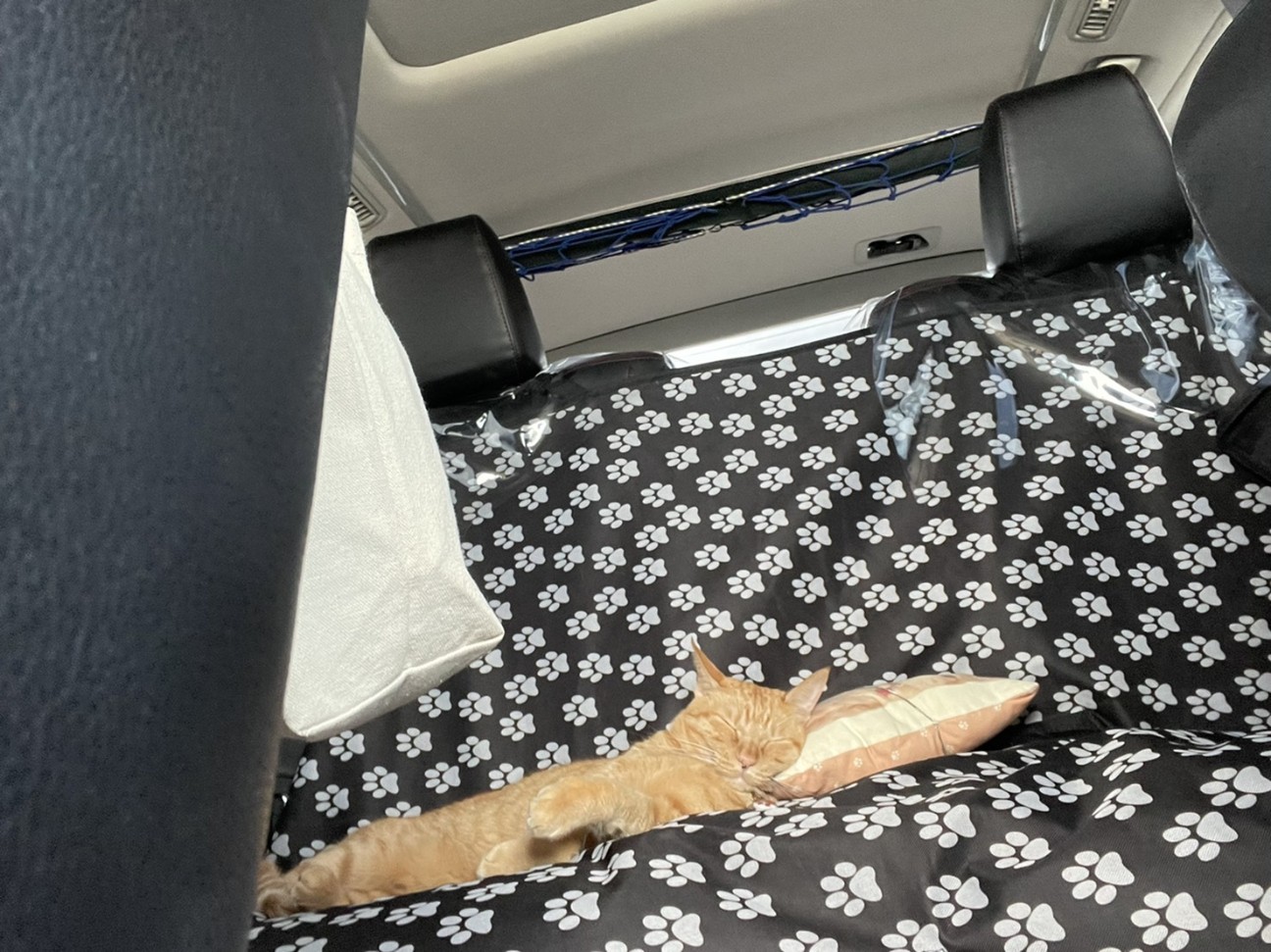 f:id:Three_Traveling_Cats:20210718233316j:image f:id:Three_Traveling_Cats:20210718233316j:image