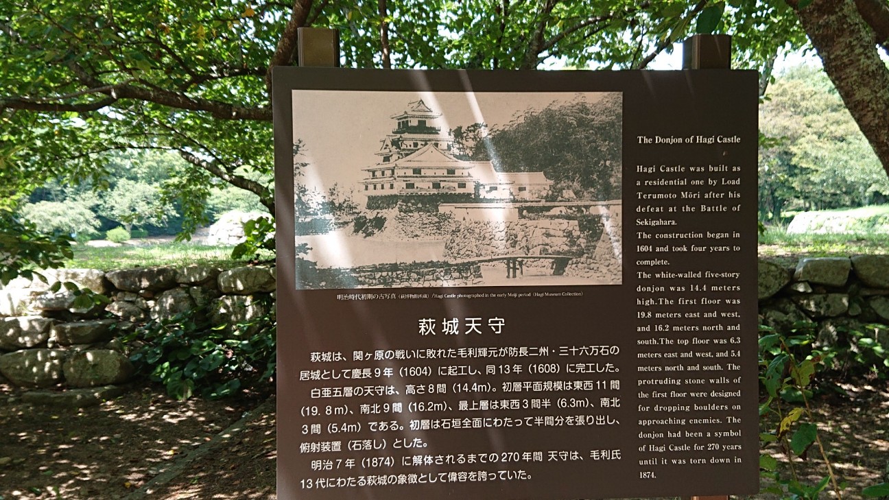 f:id:Three_Traveling_Cats:20210721184821j:image f:id:Three_Traveling_Cats:20210721184821j:image