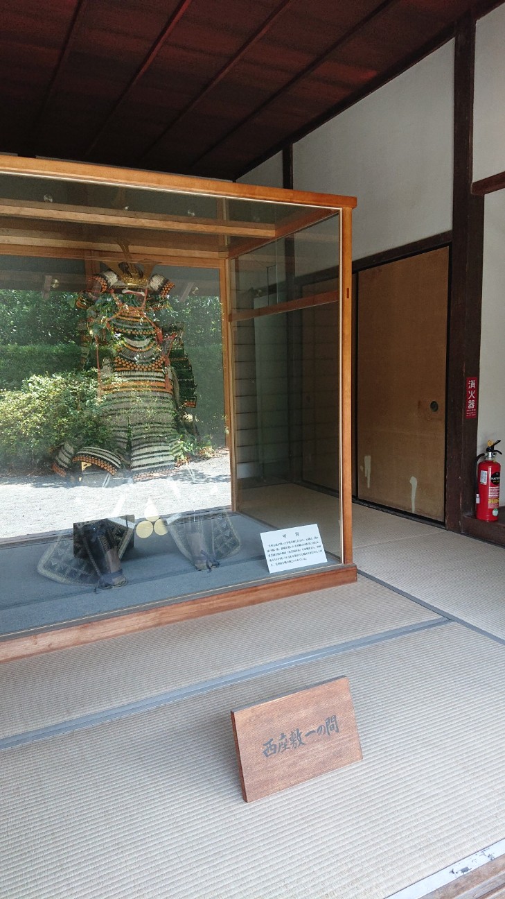 f:id:Three_Traveling_Cats:20210721203231j:image f:id:Three_Traveling_Cats:20210721203231j:image