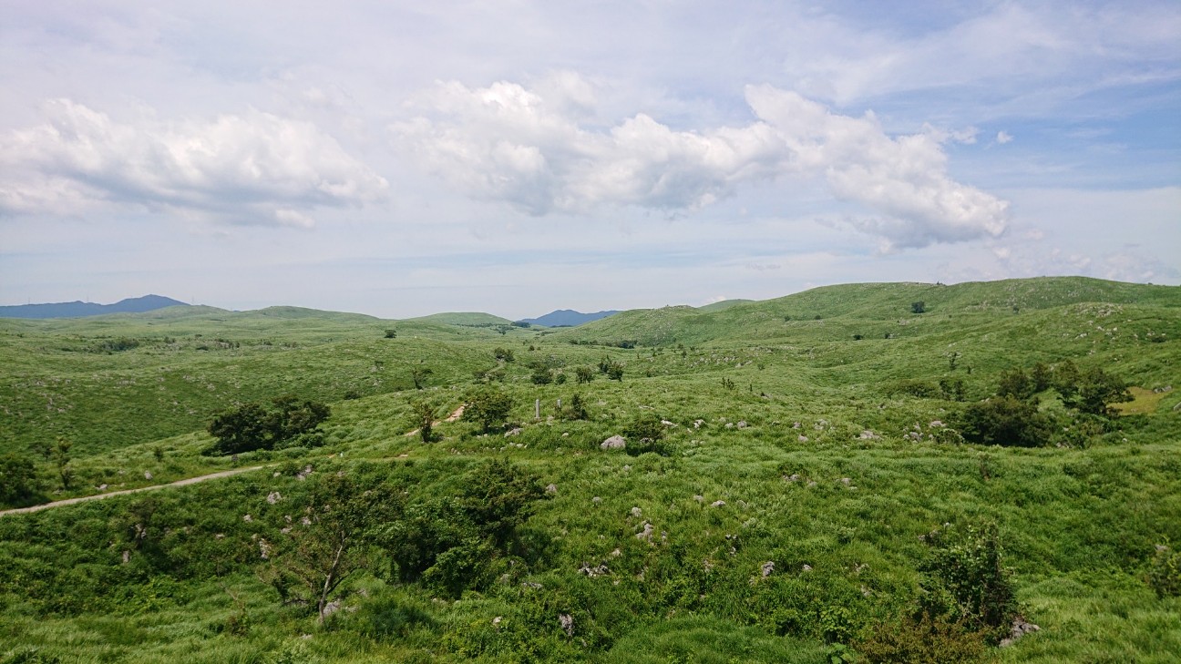 f:id:Three_Traveling_Cats:20210721205212j:image f:id:Three_Traveling_Cats:20210721205212j:image