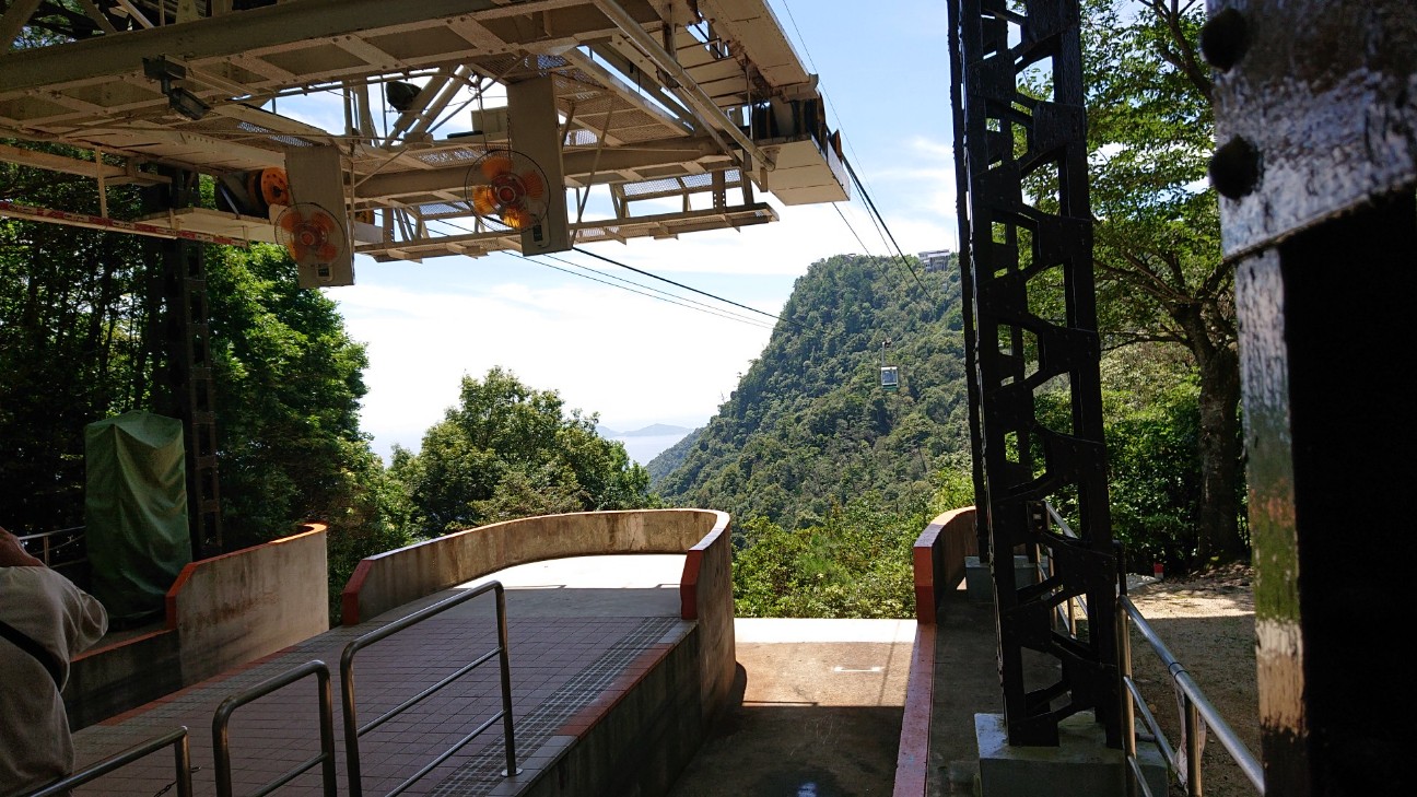 f:id:Three_Traveling_Cats:20210723211949j:image f:id:Three_Traveling_Cats:20210723211949j:image