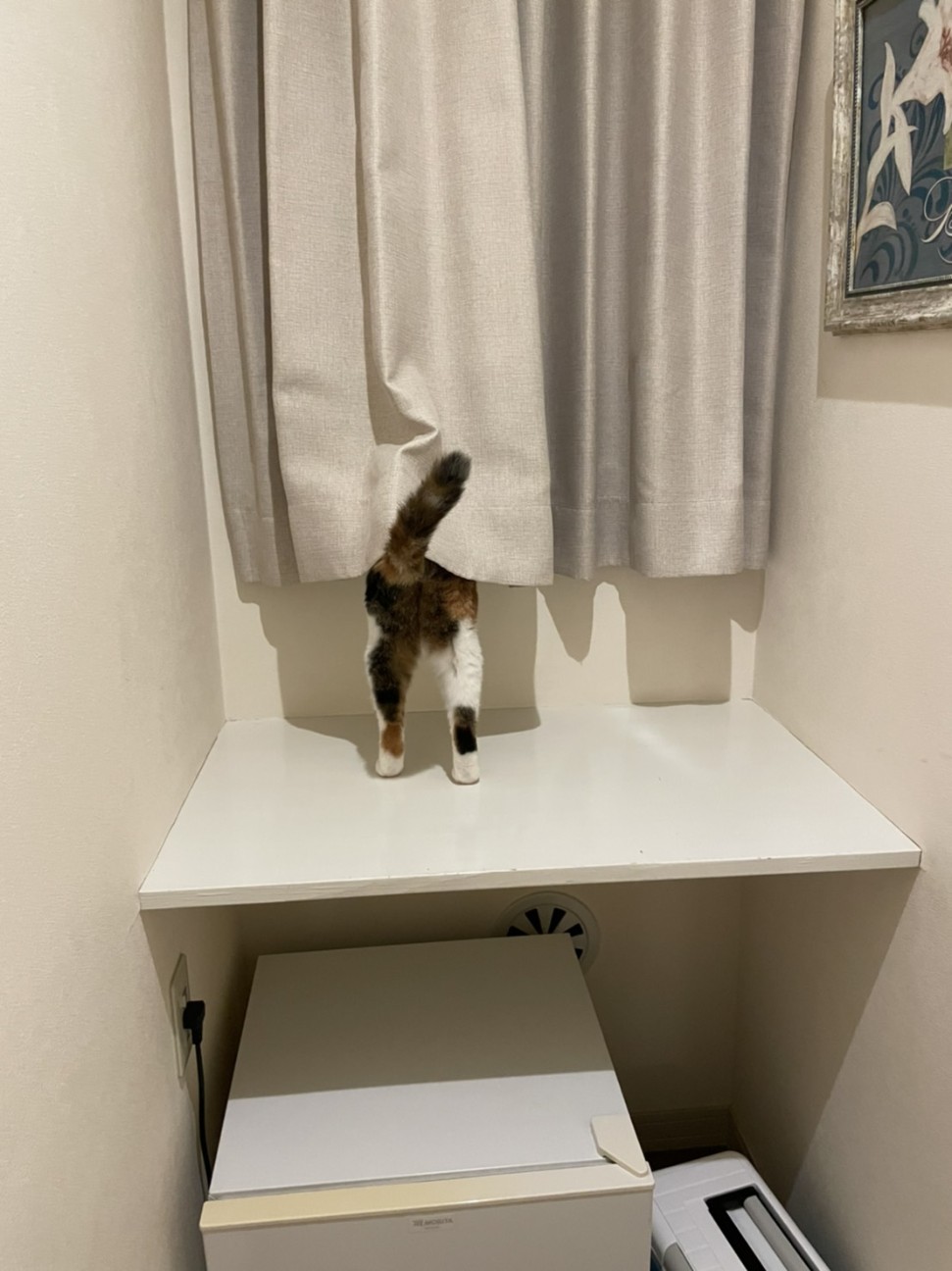 f:id:Three_Traveling_Cats:20210724014310j:image f:id:Three_Traveling_Cats:20210724014310j:image
