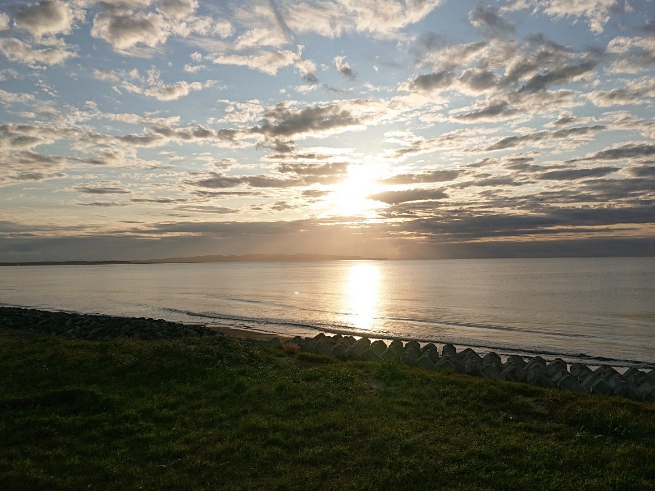 f:id:Three_Traveling_Cats:20210804142321j:image