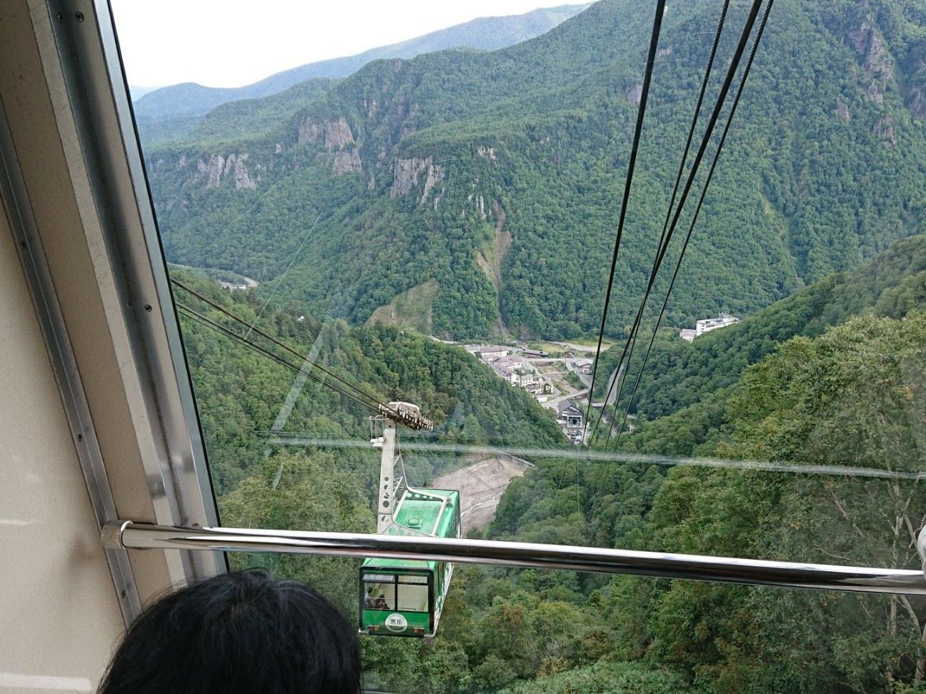 f:id:Three_Traveling_Cats:20210804150032j:image