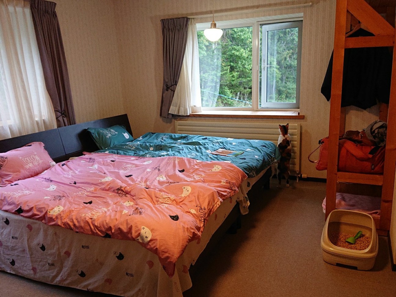 f:id:Three_Traveling_Cats:20210804161140j:image