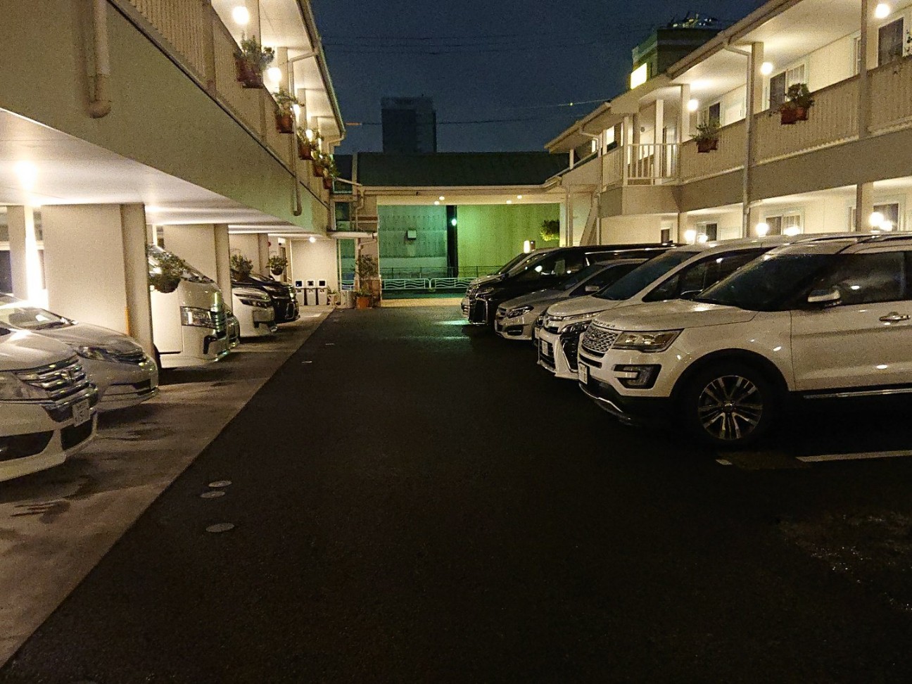 f:id:Three_Traveling_Cats:20210809102849j:image