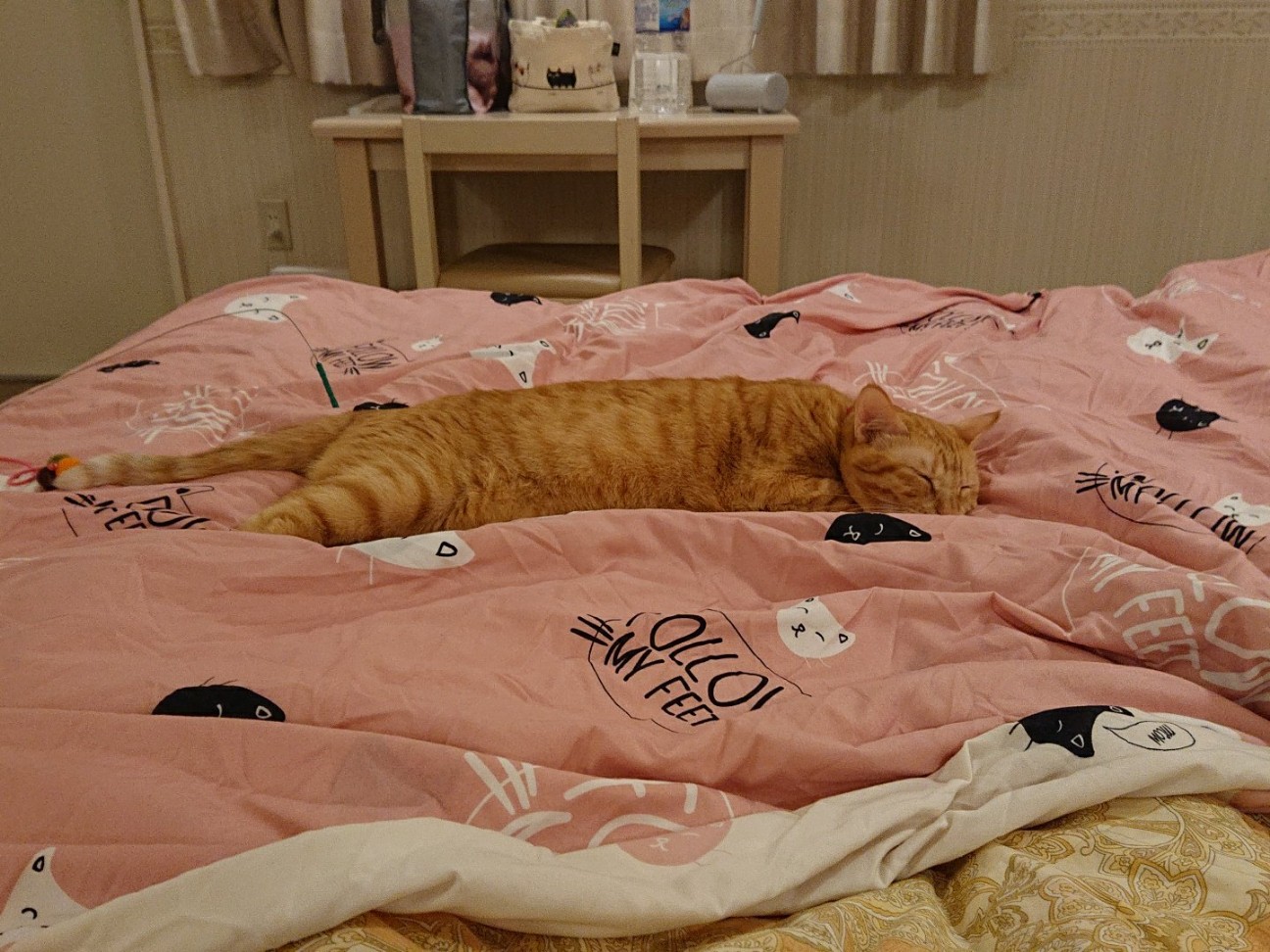 f:id:Three_Traveling_Cats:20210810202221j:image
