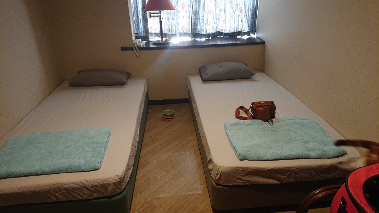 f:id:Three_Traveling_Cats:20210810203817j:image