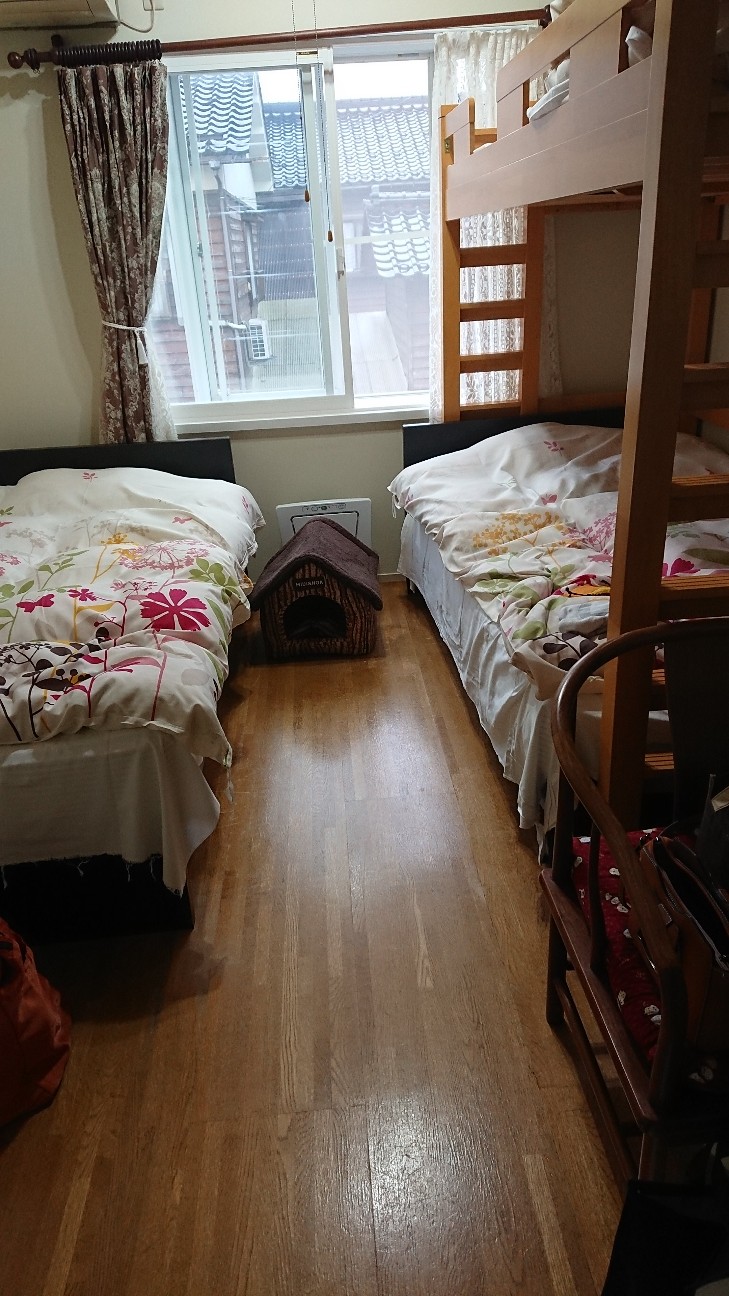 f:id:Three_Traveling_Cats:20210814063444j:image