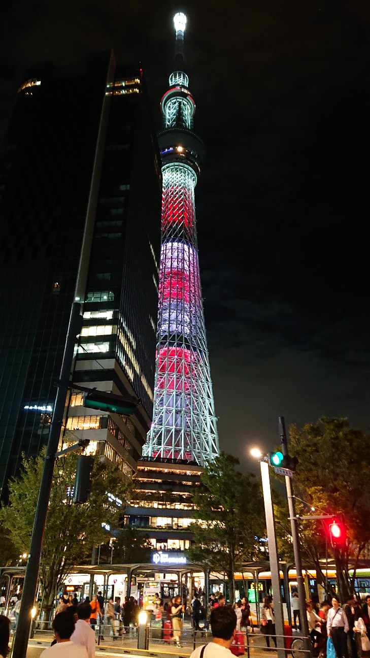 f:id:Three_Traveling_Cats:20210814164737j:image