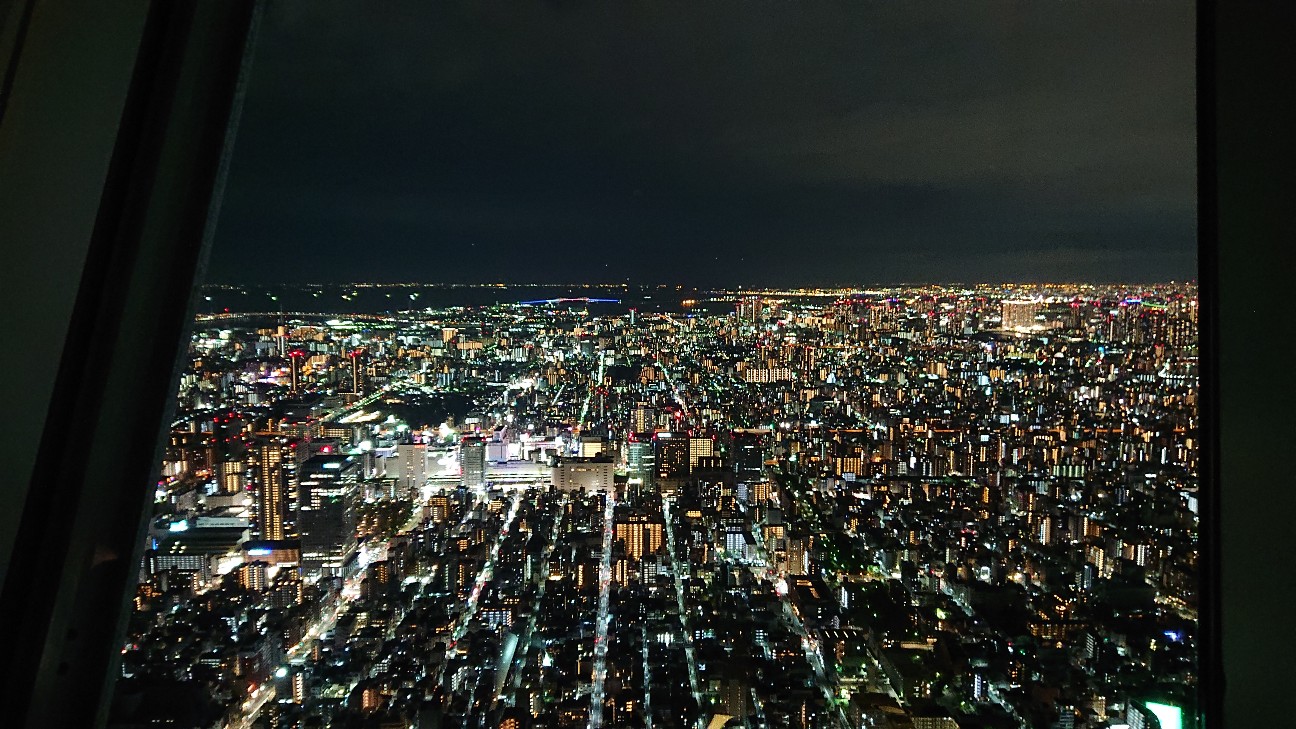 f:id:Three_Traveling_Cats:20210814164822j:image