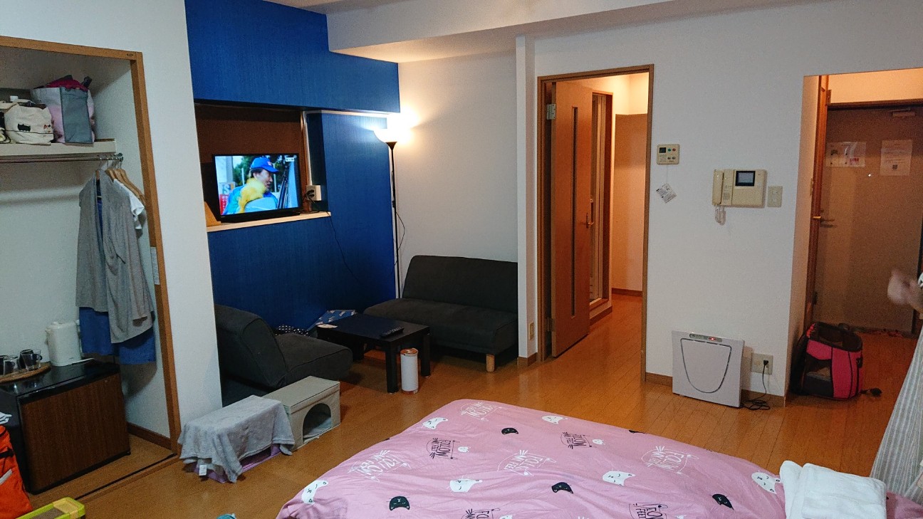 f:id:Three_Traveling_Cats:20210824160019j:image f:id:Three_Traveling_Cats:20210824160019j:image