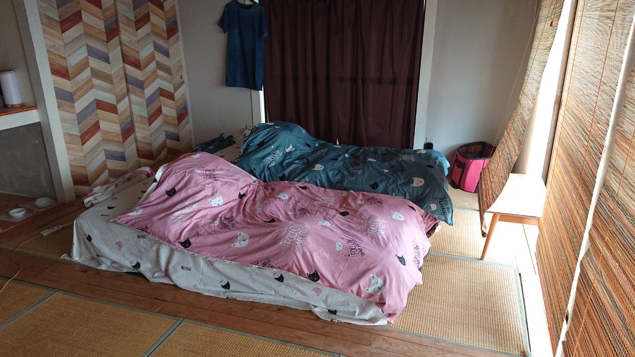f:id:Three_Traveling_Cats:20210824215543j:image f:id:Three_Traveling_Cats:20210824215543j:image