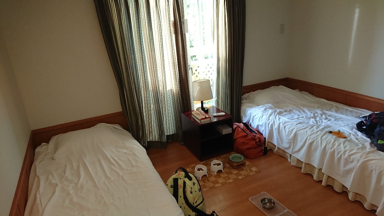 f:id:Three_Traveling_Cats:20210907211858j:image