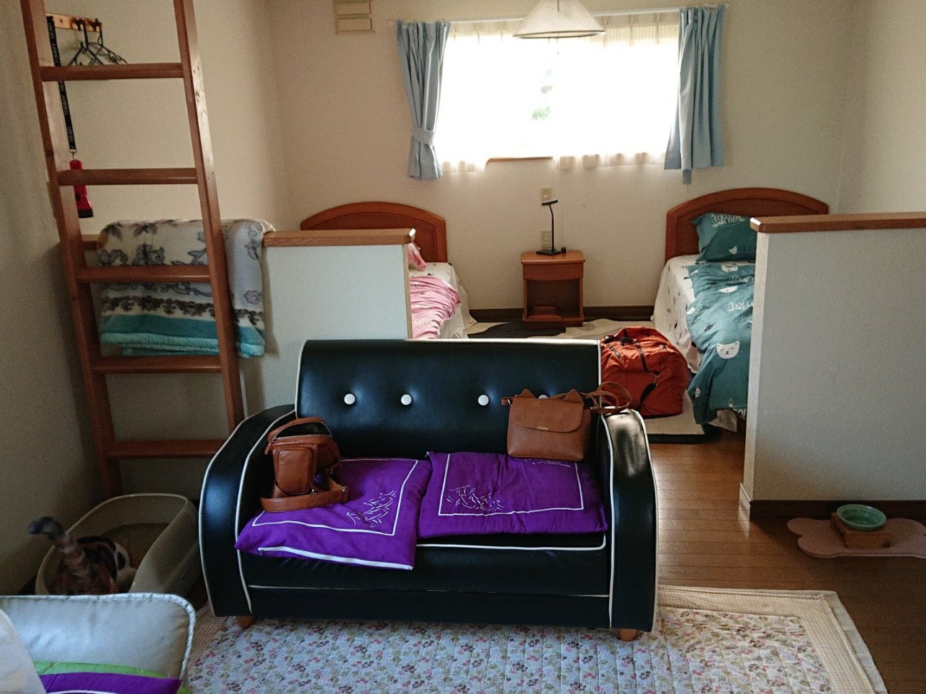 f:id:Three_Traveling_Cats:20210930212849j:image