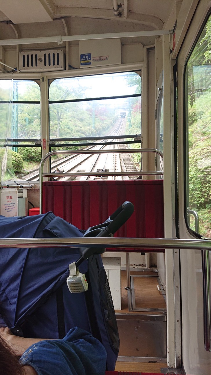 f:id:Three_Traveling_Cats:20220620111621j:image f:id:Three_Traveling_Cats:20220620111621j:image