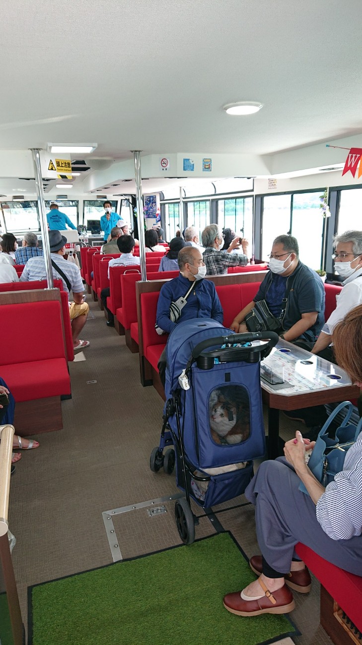f:id:Three_Traveling_Cats:20220620115008j:image f:id:Three_Traveling_Cats:20220620115008j:image