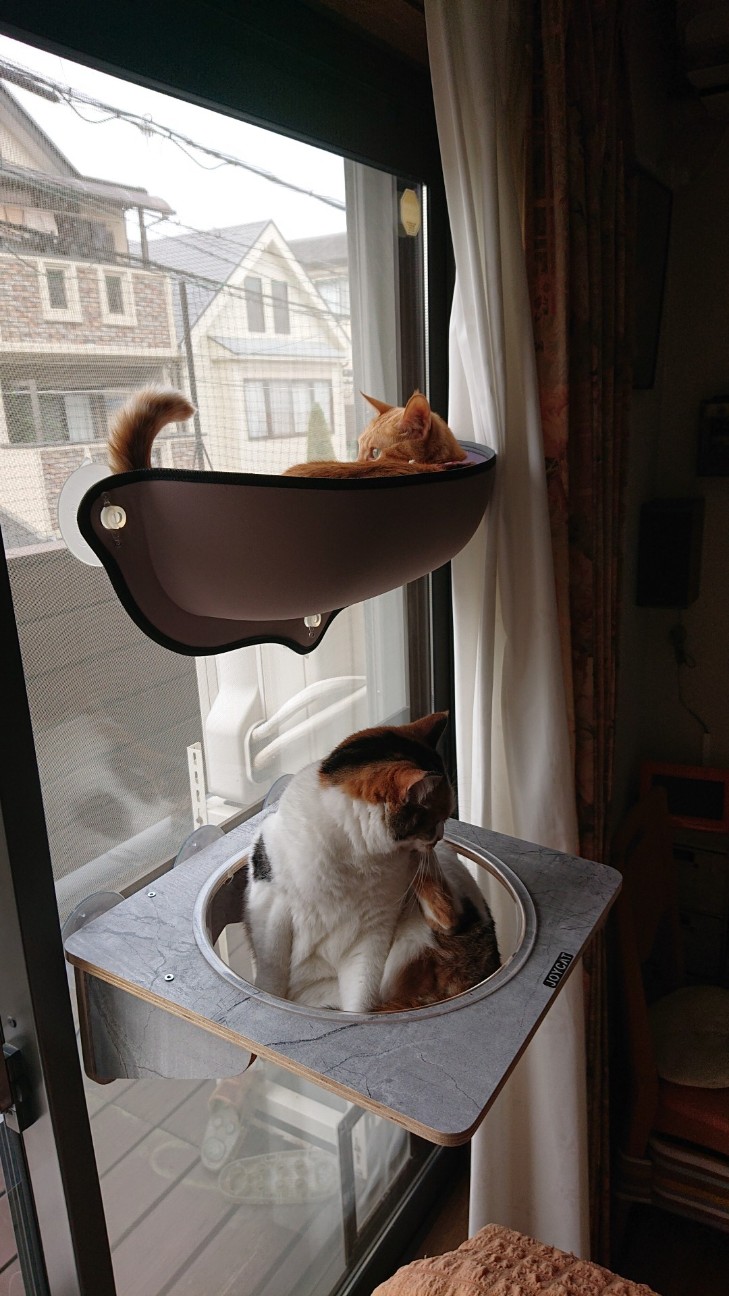 f:id:Three_Traveling_Cats:20220620154119j:image f:id:Three_Traveling_Cats:20220620154119j:image
