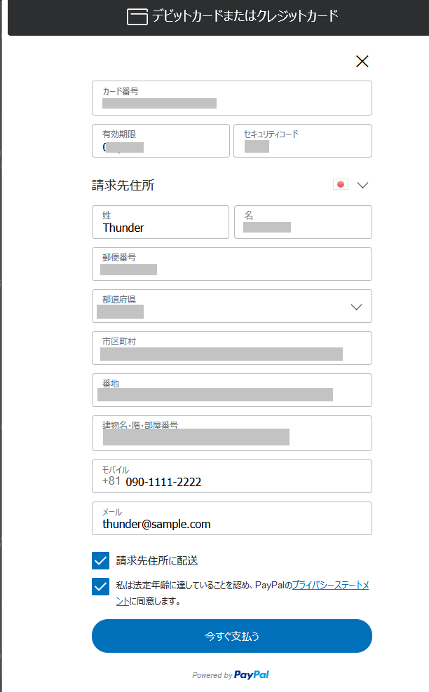 PayPal JavaScript SDK はじめの一歩 ちょっと触ったよ - Thunder Info ~さんだーいんふぉめーしょん~