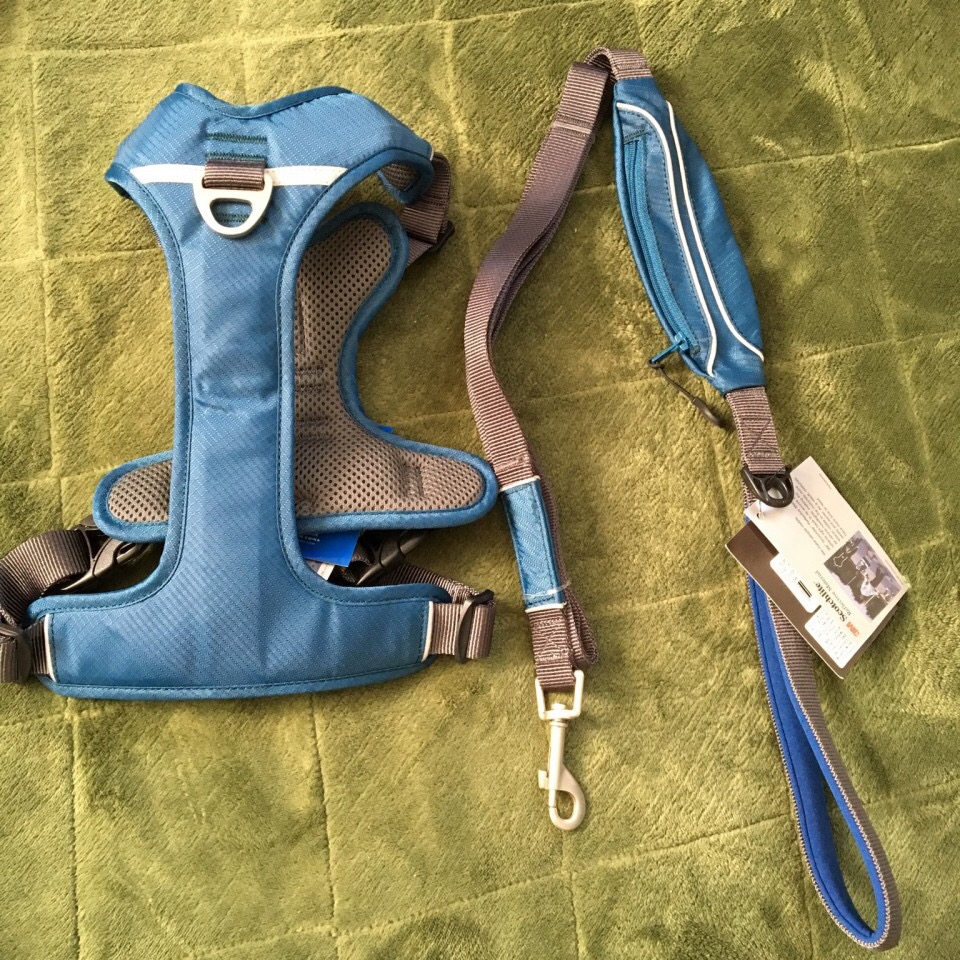 愛犬】北欧デザインのおススメ ハーネス DOG Copenhagen（ドッグ