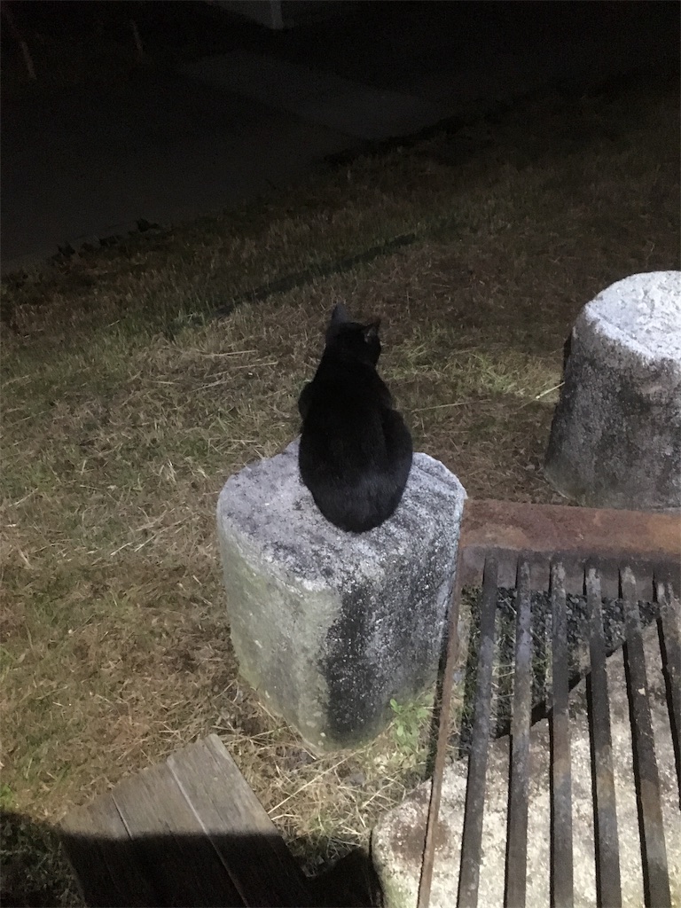 f:id:Tibesuna889:20191209004842j:image f:id:Tibesuna889:20191209004842j:image