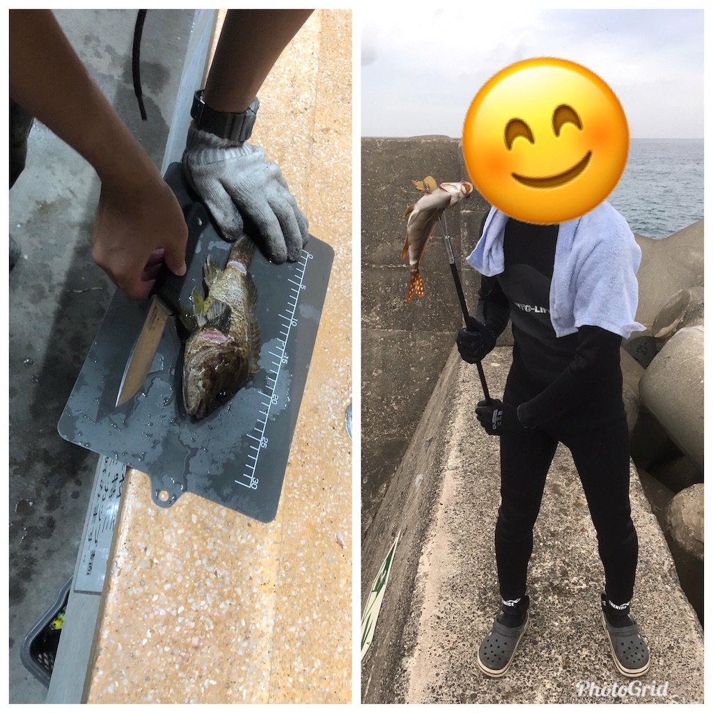 f:id:Tibesuna889:20191209005134j:image f:id:Tibesuna889:20191209005134j:image