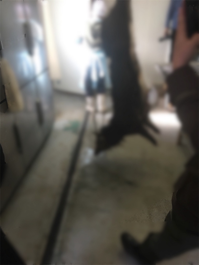 f:id:Tibesuna889:20191220161701j:image f:id:Tibesuna889:20191220161701j:image